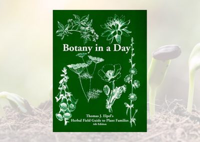 Botany in a Day: Herbal Field Guide to Plant Families