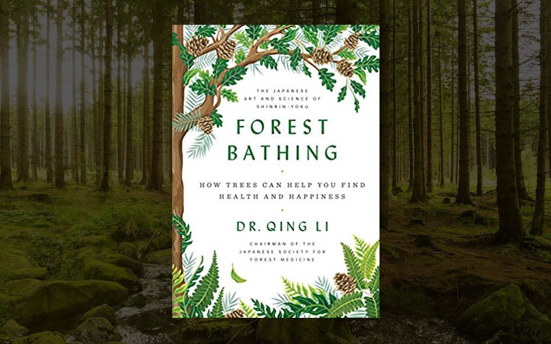 Forest Bathing: How Trees Can Help You Find Health and Happiness - Wild ...