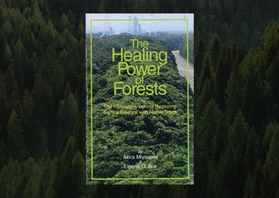 The Healing Power of Forests: Restoring Earth’s Balance with Native Trees
