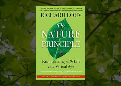 The Nature Principle: Reconnecting with Life in a Virtual Age