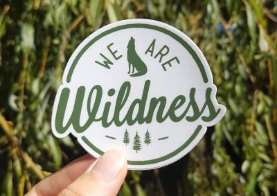 We Are Wildness – Educational Resources