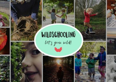Wildschooling – a gathering place for nature-connected home educators
