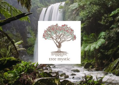 Tree Mystic – Connect to Nature and Feel Alive
